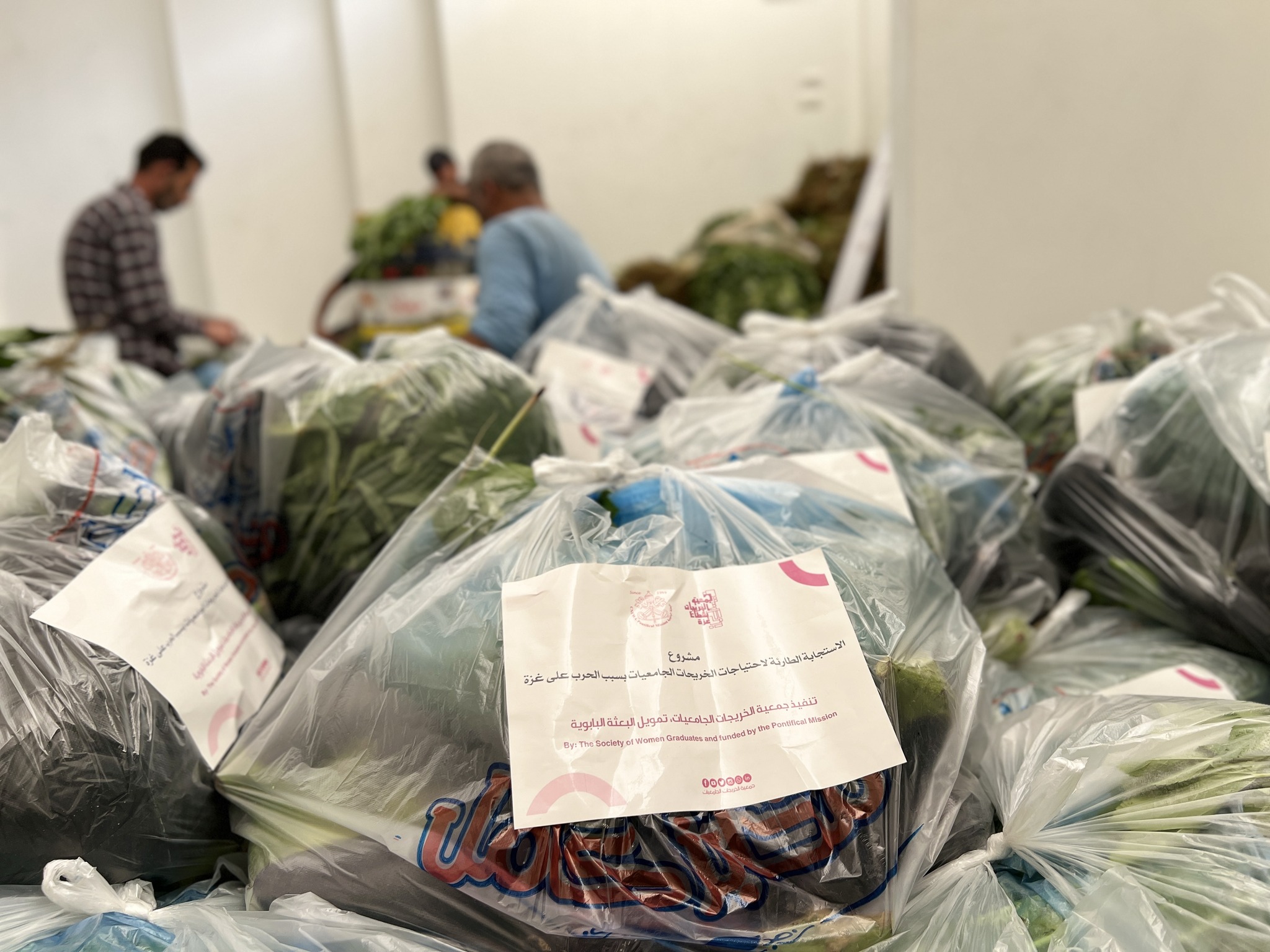 توزيع 350 طرد خضار